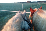 Contact et Plans, Trouver la Ferme Equestre  Pouldreuzic dans le Pays Bigouden